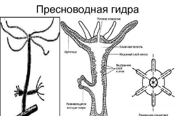 Дарк нет вход
