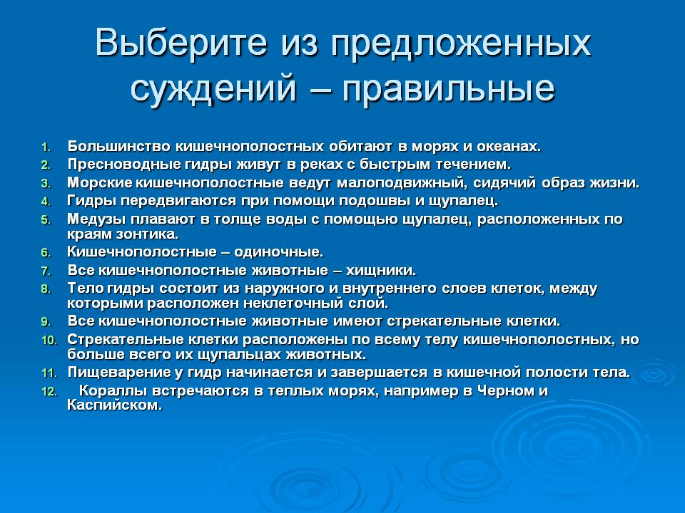 Рабочая ссылка на кракен в торе